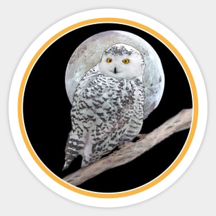 Snowy Owl and Moon Sticker